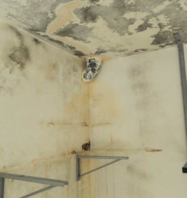 Infiltration d'eau provenant des fissures murales Infiltration d'eau provenant des fissures murales