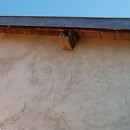 Fissure verticale extérieure